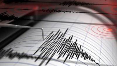 AFAD verilerine göre Gaziantep’in Nurdağı ilçesinde gece saat 00.08’de 4.6