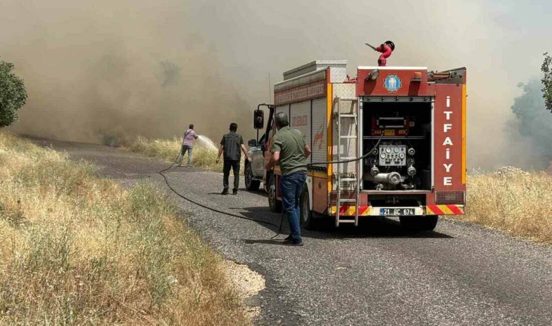 Diyarbakır’ın Eğil ilçesinde buğday ekili arazide yangın çıktı. Alevler rüzgarın
