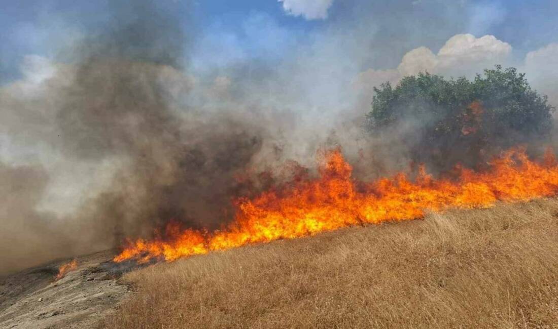Diyarbakır’ın beş ilçesinde çıkan anız ve örtü yangınını söndürme çalışmaları