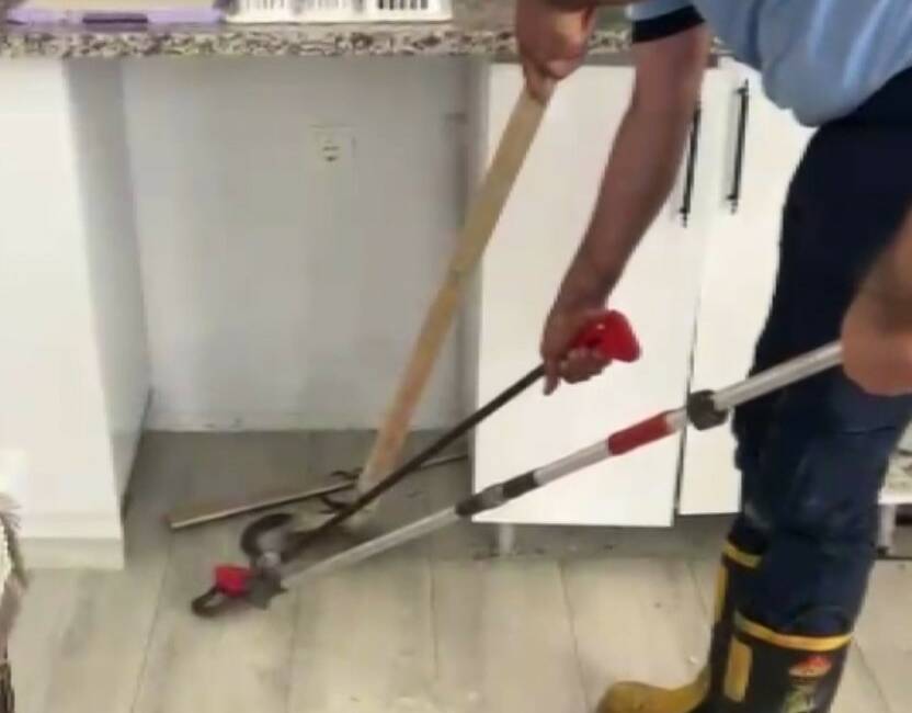 Gaziantep’in Oğuzeli ilçesinde bir eve giren ve paniğe neden olan