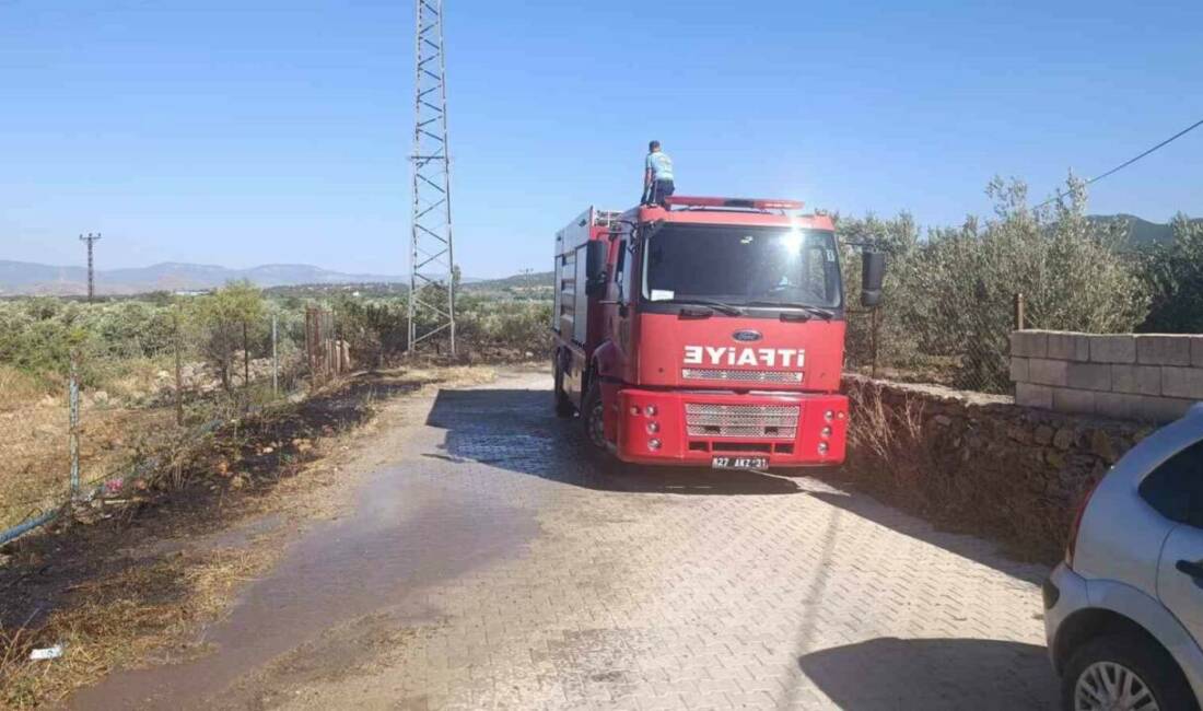 Gaziantep’in İslahiye ilçesinde zeytin tarlalarının çevresindeki otluk alanda yangın çıktı.