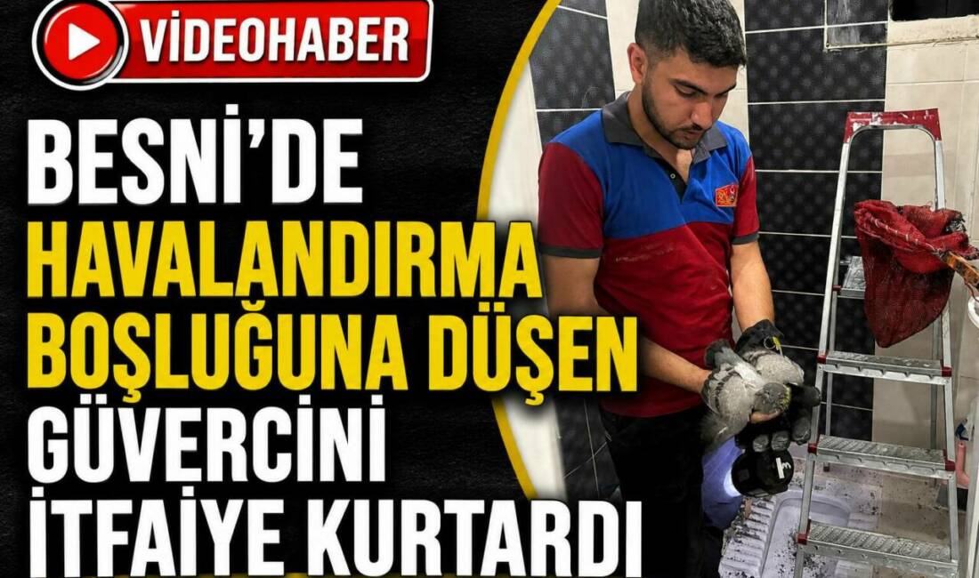 Besni’de Havalandırma Boşluğuna Düşen Güvercini İtfaiye Kurtardı Adıyaman’ın Besni ilçesine bağlı Erdemoğlu Mahallesi’nde bir binanın havalandırma boşluğuna
