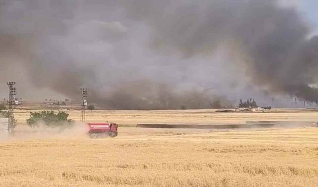 Harran’da yüzlerce dönümlük ekili arazi yandı Şanlıurfa’nın Harran ilçesinde yaklaşık 400 dönüm buğday tarlası ile anız