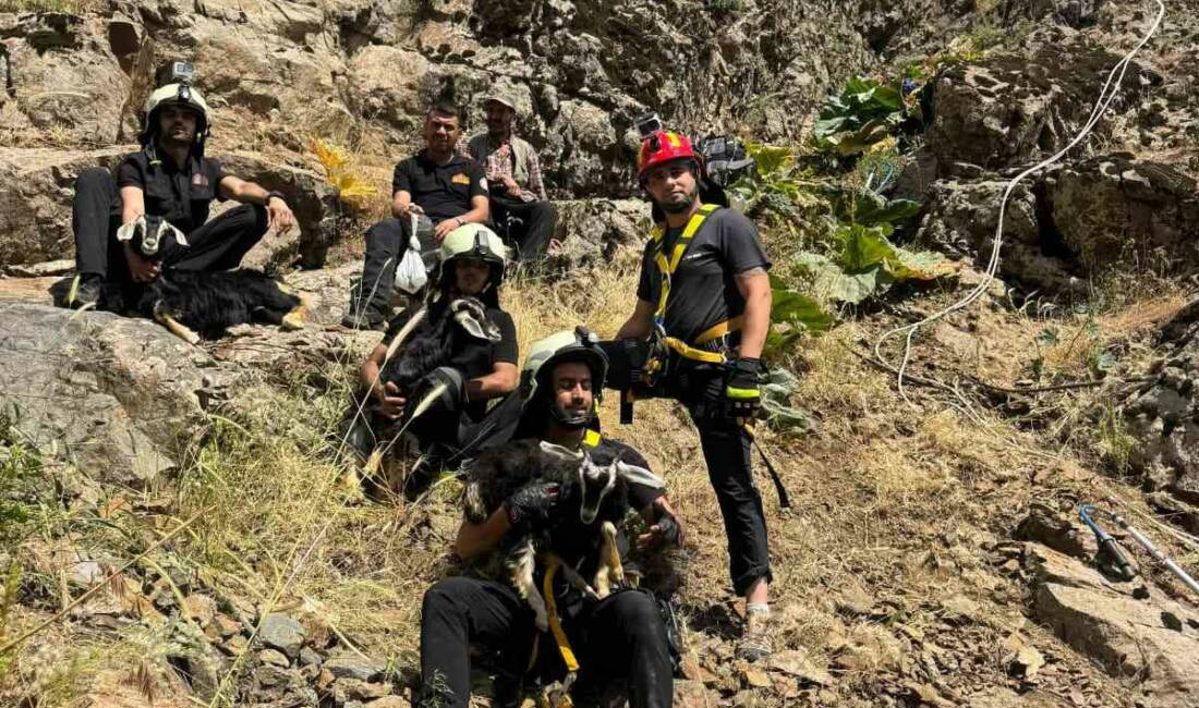 Kayalık alanda mahsur kalan oğlaklar itfaiye ekibince kurtarıldı Diyarbakır’ın Kulp ilçesinde kayalık alanda mahsur kalan 3 oğlak, itfaiye