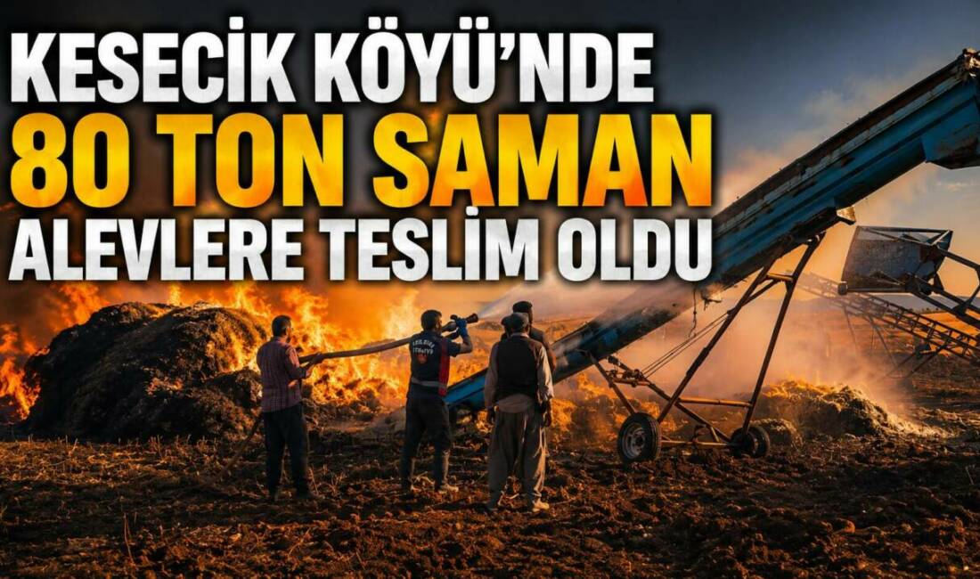 Kesecik Köyü’nde 80 Ton Saman Alevlere Teslim Oldu Besni’ye bağlı Kesecik Köyü’nde meydana gelen saman yangını paniğe neden