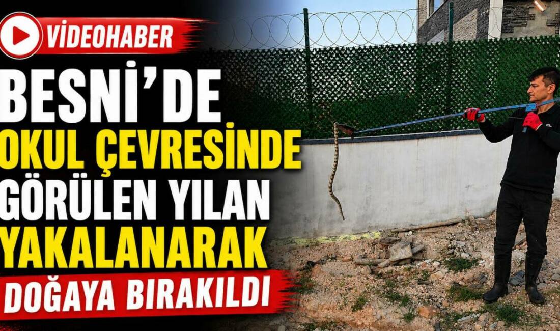 Besni’de bir okulun duvar çevresinde görülen yılan, öğrenciler için tehlike