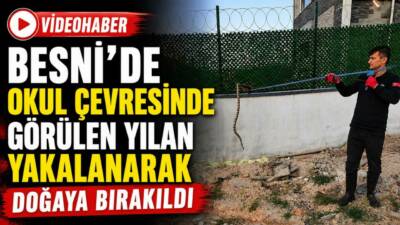 Besni’de bir okulun duvar çevresinde görülen yılan, öğrenciler için tehlike