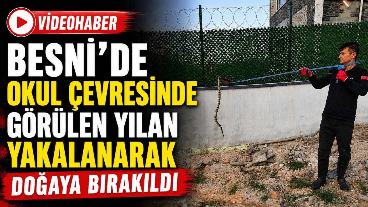 Besni’de bir okulun duvar çevresinde görülen yılan, öğrenciler için tehlike