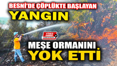 Besni'ye bağlı Köseceli Beldesi Tetirli Mahallesi ile Aşağısöğütlü Köyü arasındaki