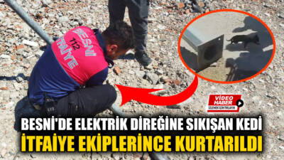 Besni’nin Dumlupınar Mahallesi’nde okul yanında bulunan bir elektrik direğine sıkışan