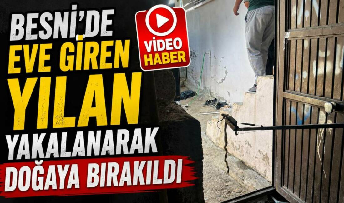 Adıyaman’ın Besni ilçesine bağlı Çat Mahallesi’nde bir evin ambarına giren