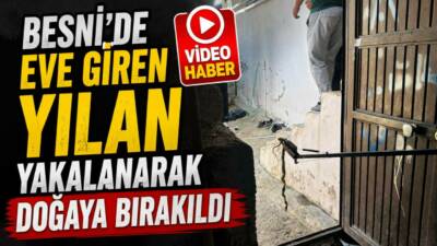 Adıyaman’ın Besni ilçesine bağlı Çat Mahallesi’nde bir evin ambarına giren