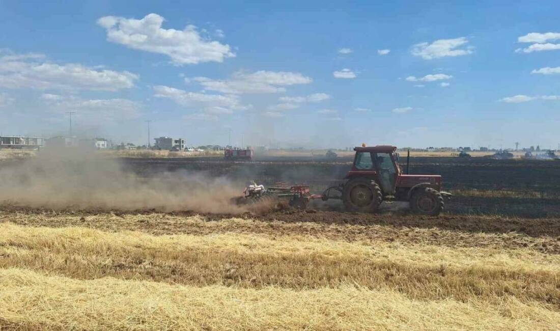 Mardin’in Kızıltepe ilçesinde çıkan yangında yaklaşık 80 dönüm buğday ekili