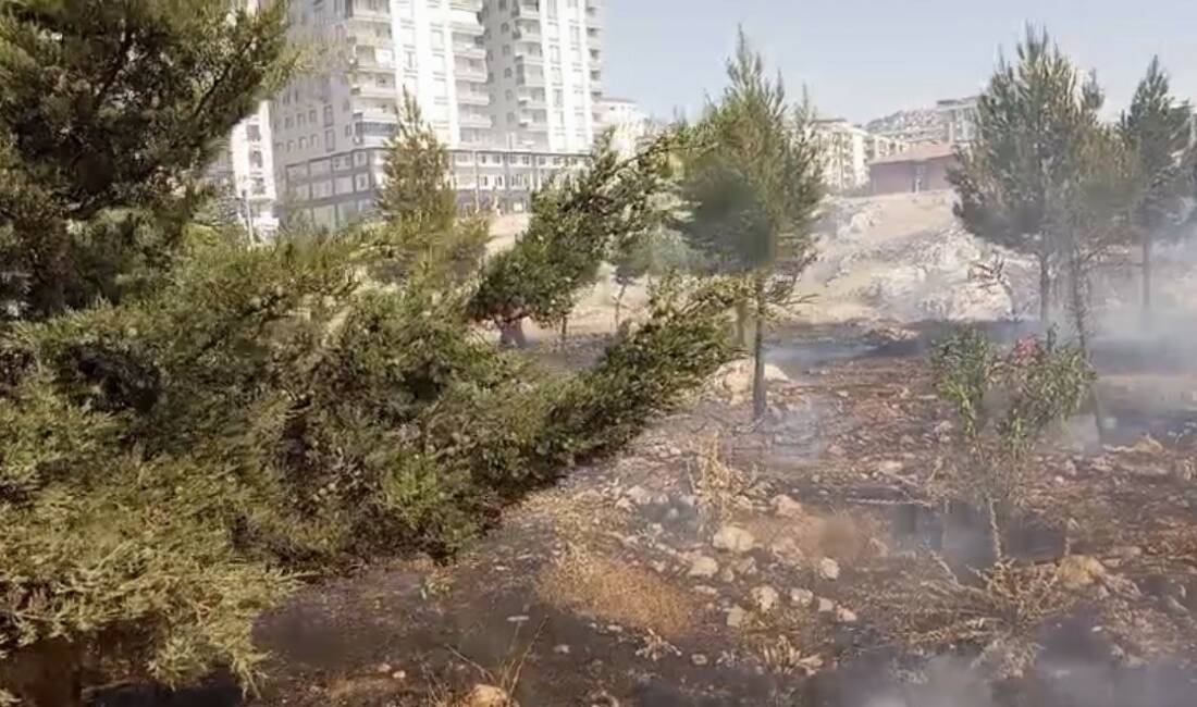 Mardin’de farklı noktalarda çıkan yangınlara müdahale sürüyor Mardin’in çeşitli ilçelerinde çıkan anız ve otluk alan yangınlarına ekiplerin
