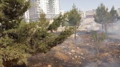 Mardin’in çeşitli ilçelerinde çıkan anız ve otluk alan yangınlarına ekiplerin