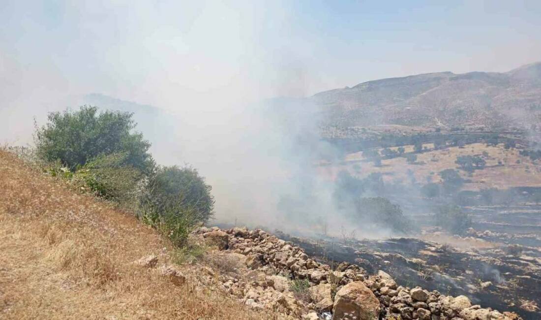 Mardin’in Yeşilli ilçesi kırsalında ormanlık alanda çıkan yangına müdahale ediliyor.