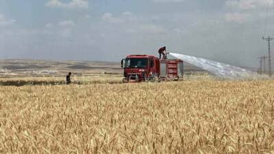 Mardin’in Artuklu ilçesinde yaklaşık 300 dönüm buğday ve arpa ekili