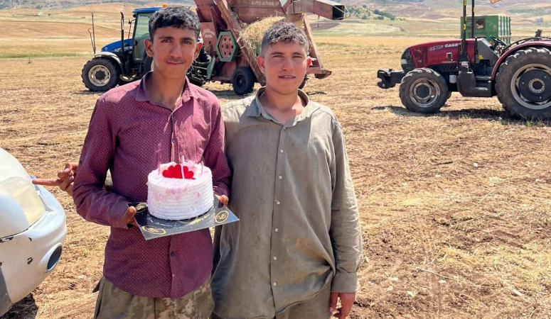 Siirt’te hava sıcaklığı 40 dereceyi bulurken, hasat sırasında tarlada genç