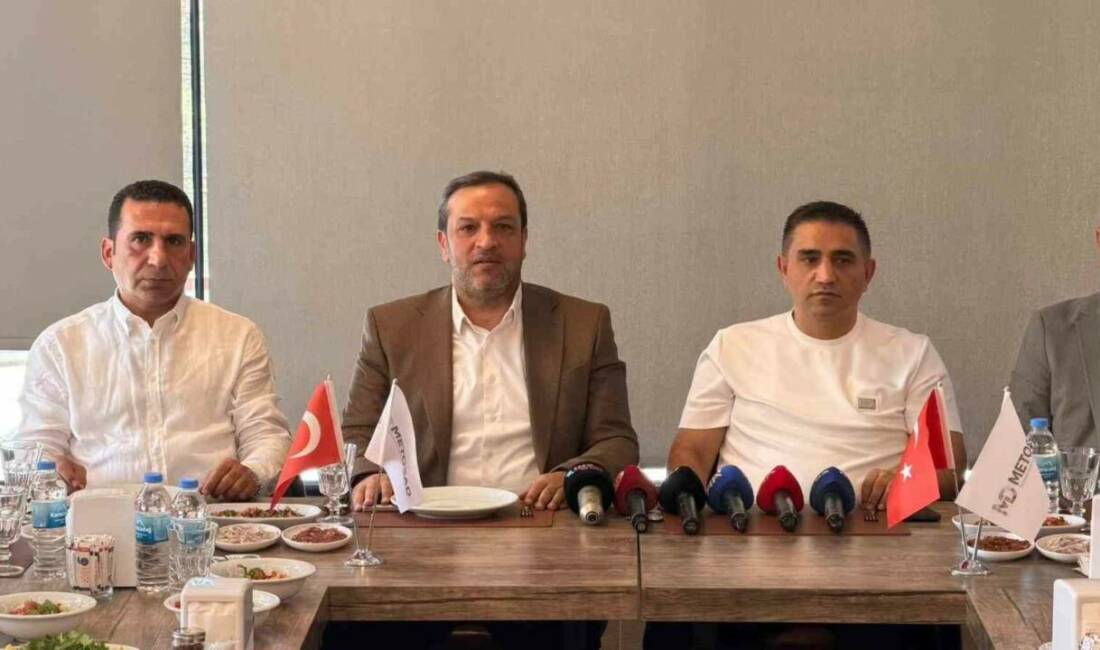 Mezopotamya Seyahat Acenteleri ve Turizm Otelcileri Birliği (METOSAD) Başkanı Veysi