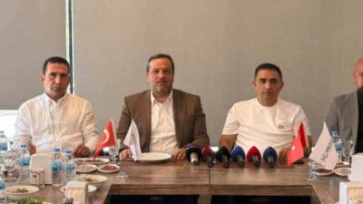 Mezopotamya Seyahat Acenteleri ve Turizm Otelcileri Birliği (METOSAD) Başkanı Veysi