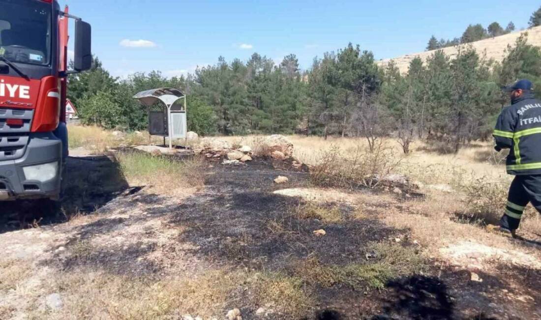 Şanlıurfa’da ormanlık alanda çıkan yangın itfaiye ekiplerinin yaptığı müdahale sonucu