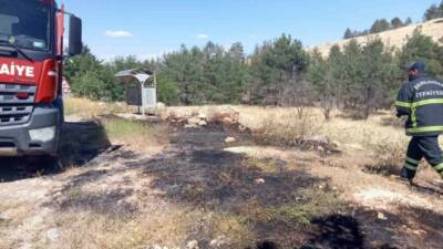 Şanlıurfa’da ormanlık alanda çıkan yangın itfaiye ekiplerinin yaptığı müdahale sonucu