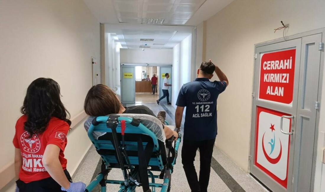Adıyaman’da sürücüsünün önüne çıkan kediye çarpmamak için direksiyonu kırdığı otomobilin