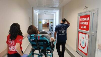 Adıyaman’da sürücüsünün önüne çıkan kediye çarpmamak için direksiyonu kırdığı otomobilin