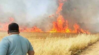 Şanlıurfa’nın Harran ilçesinde yaklaşık 50 dönümlük buğday tarlasında çıkan yangında