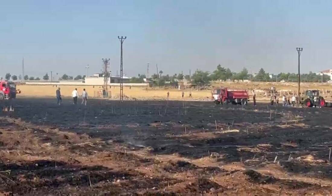 Şanlıurfa’nın Viranşehir ilçesinde çıkan yangında yaklaşık 60 dönüm buğday ekili