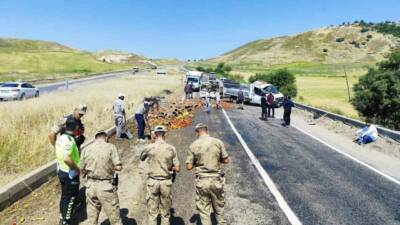 Diyarbakır’ın Silvan ilçesinde meyve ve sebze yüklü kamyonetin seyir halindeyken