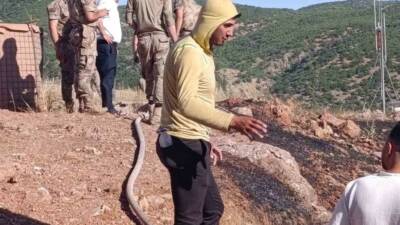 Siirt’in Baykan ilçesine bağlı Çukurca köyü yakınlarında çıkan yangın, ekiplerin