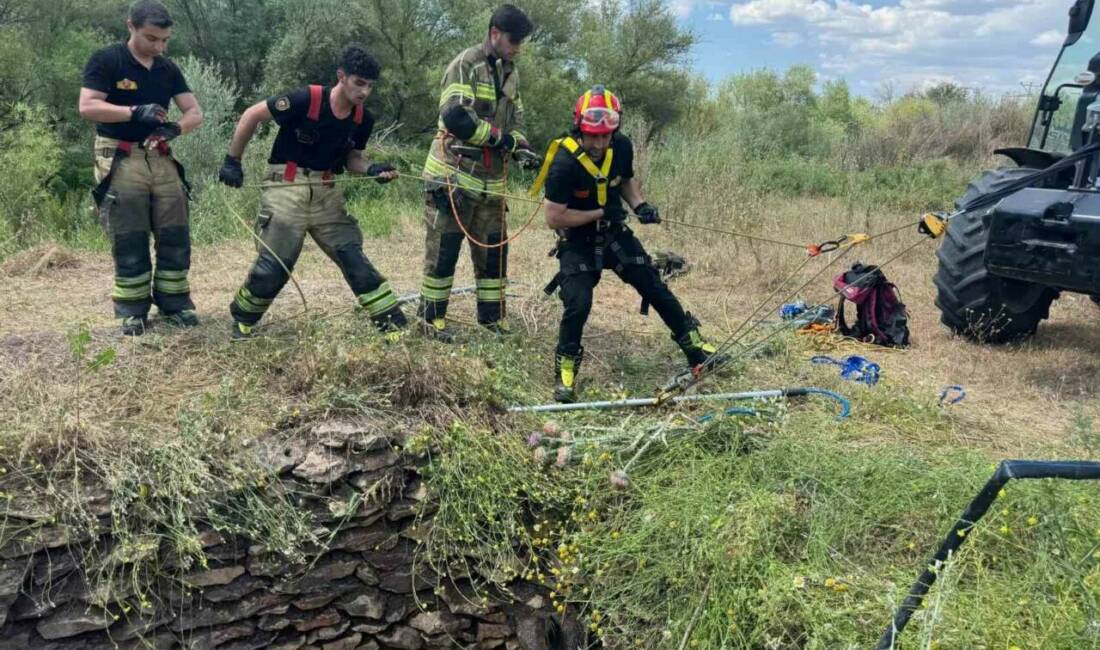 Diyarbakır’ın merkez Sur ilçesinde su kuyusuna düşen yaban domuzu, itfaiye