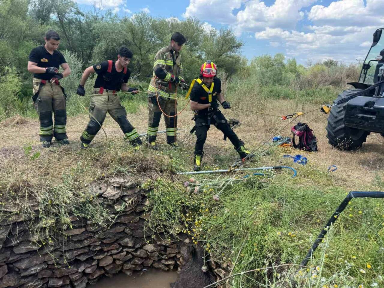Diyarbakır’ın merkez Sur ilçesinde su kuyusuna düşen yaban domuzu, itfaiye