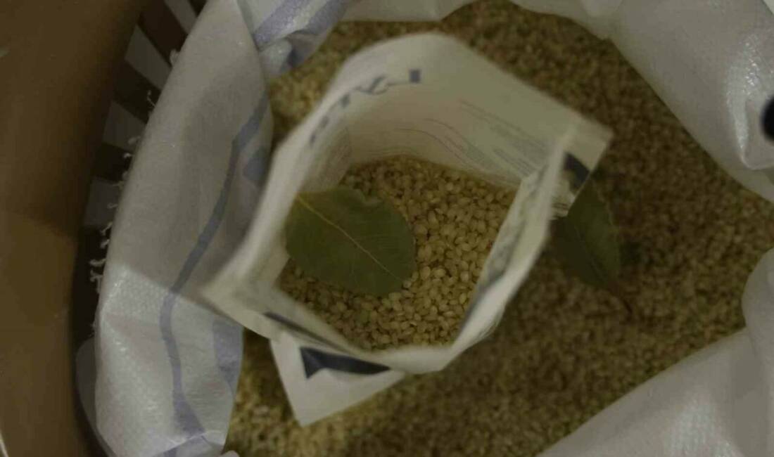 Diyarbakır’ın tescilli Karacadağ pirincinde yapılan testlerde pestisite rastlanmazken, protein oranı