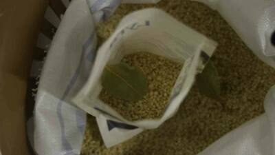 Diyarbakır’ın tescilli Karacadağ pirincinde yapılan testlerde pestisite rastlanmazken, protein oranı