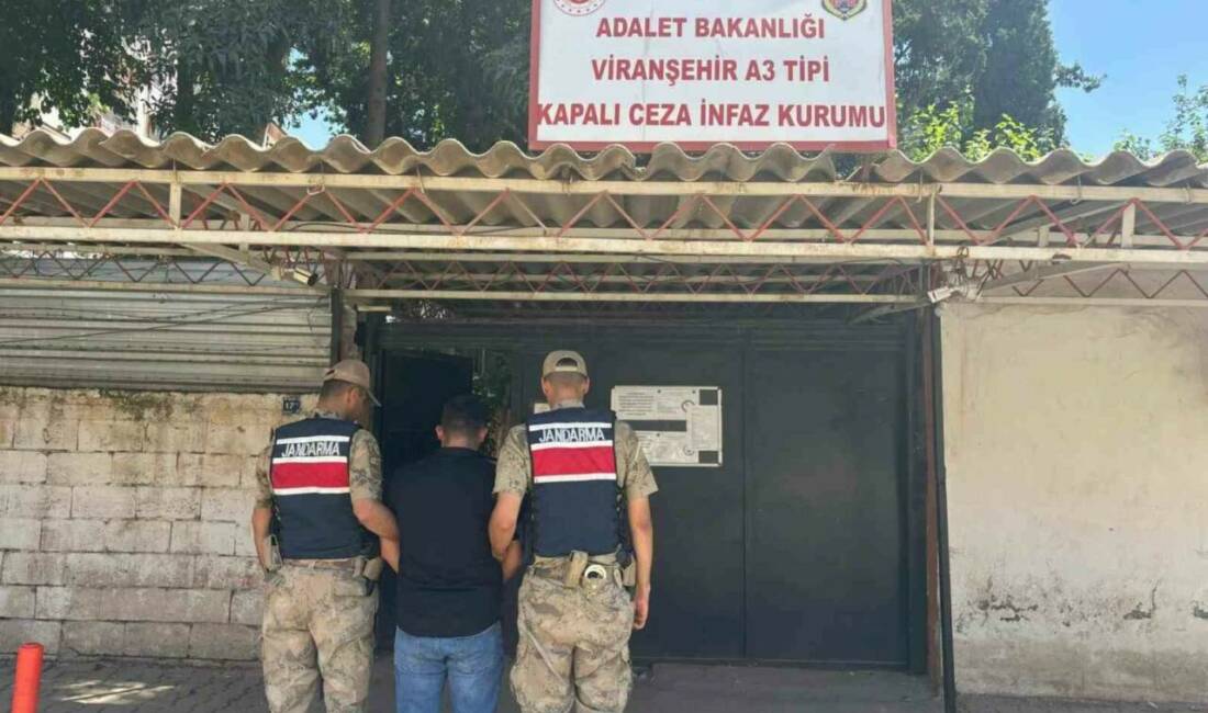 Şanlıurfa’nın Viranşehir ilçesinde yağma suçundan kesinleşmiş 5 yıl 5 ay