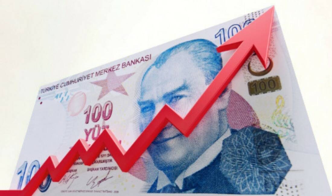 Türkiye İstatistik Kurumu (TÜİK), Haziran ayına ilişkin Tüketici Fiyat Endeksi