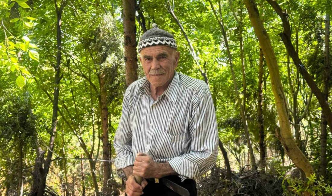 Mardin’de 78 yaşındaki Şehmus Erginoğlu, 31 yıl önce çöp yığınlarıyla