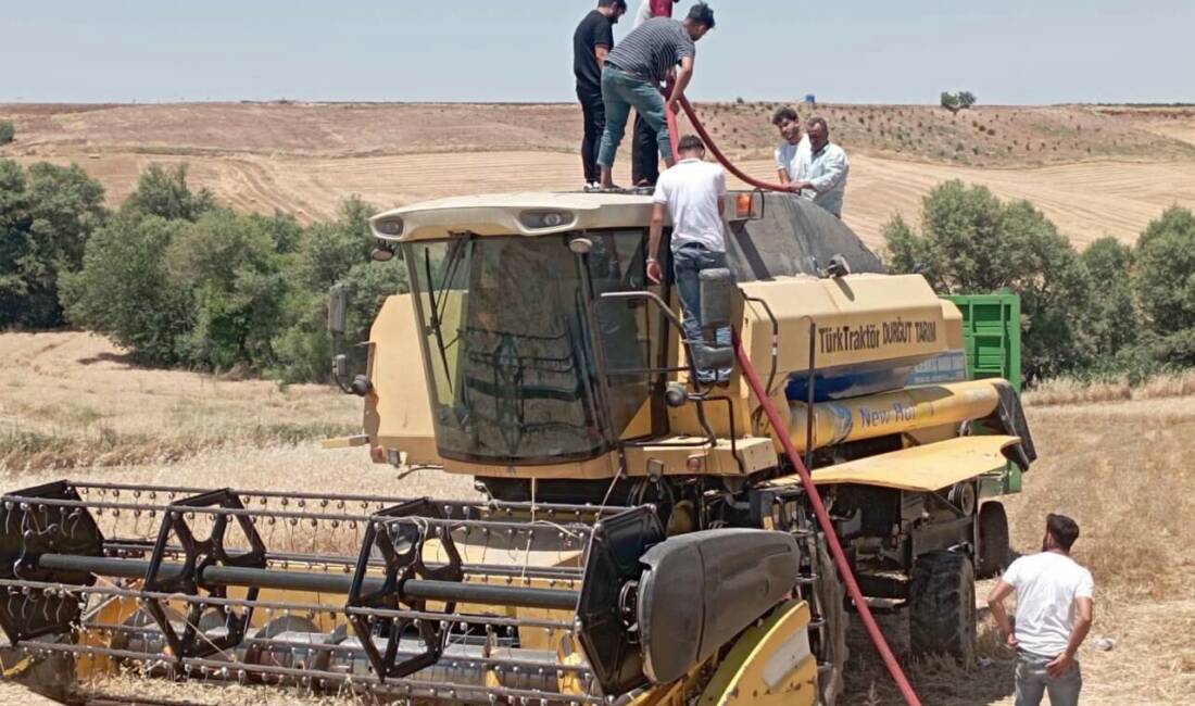 Besni'ye bağlı Dikilitaş Köyü'nde çıkan biçerdöver yangını, Besni Belediyesi İtfaiye