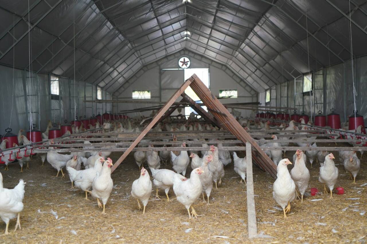 Adıyaman Belediyesi’nin vatandaşların sağlıklı, güvenilir ve uygun fiyatlı gıdaya erişimini