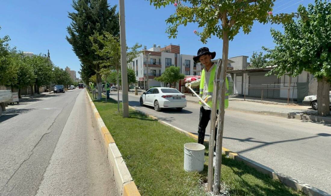 Adıyaman Belediyesi’nden ağaçlara “Beyaz” koruma Adıyaman Belediyesi Park ve Bahçeler Müdürlüğü ekipleri, mevsim normallerinin üzerinde