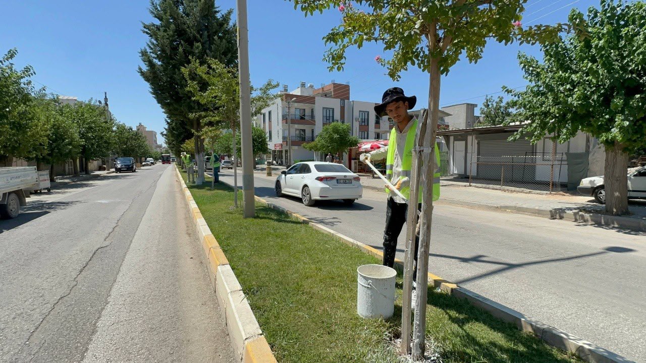 Adıyaman Belediyesi’nden ağaçlara “Beyaz” koruma