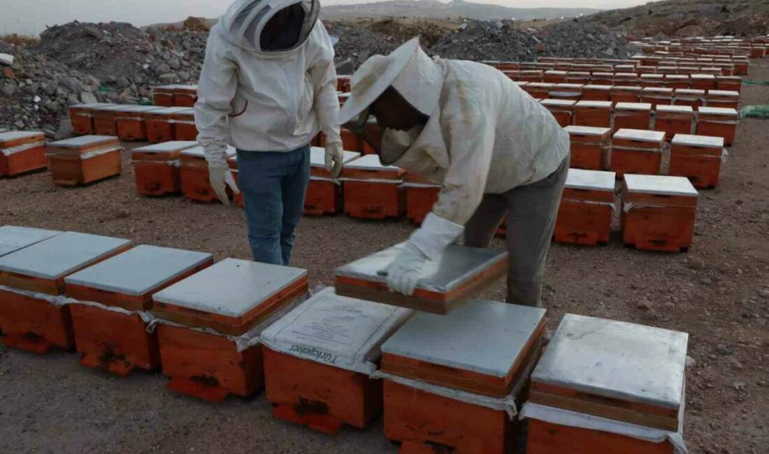 Adıyaman Arı Yetiştiricileri Birliği Başkanı Mehmet Yaşar Yiğit, 2026 yılına