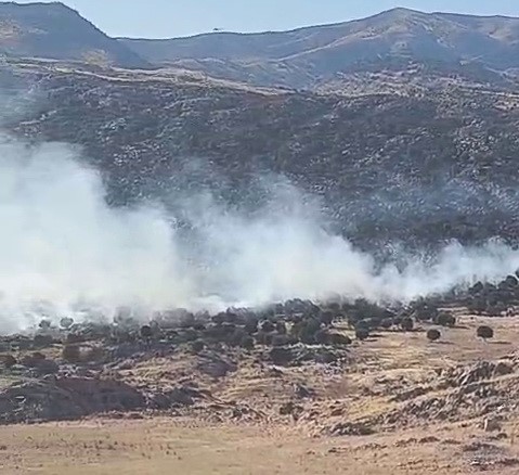 Adıyaman’da, meydana gelen orman yangını paniğe neden oldu.