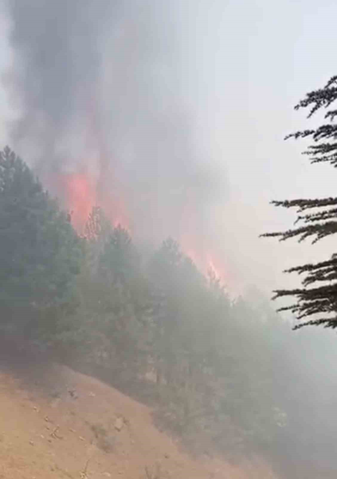 Adıyaman’ın Sincik ilçesinde çıkan orman yangını havadan ve karadan müdahaleyle