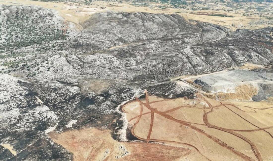 Adıyaman’da önceki gün ormanlık alanda çıkan yangın ekiplerce sabaha karşı