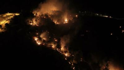 Adıyaman’da 27 Temmuz’da meydana gelen orman yangını ile ilgili gözaltına