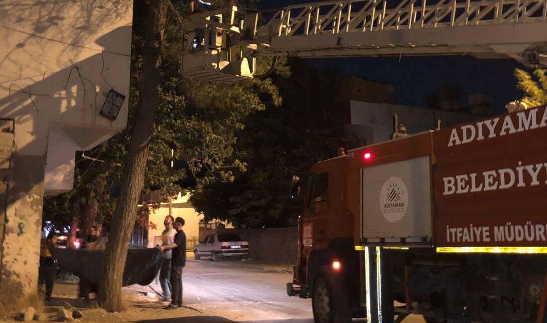 Ağaçta mahsur kalan kediyi itfaiye ekipleri kurtardı Adıyaman’da bir ağaca çıkarak mahsur kalan kedi, itfaiye ekiplerince kurtarıldı.
