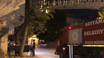 Adıyaman’da bir ağaca çıkarak mahsur kalan kedi, itfaiye ekiplerince kurtarıldı.